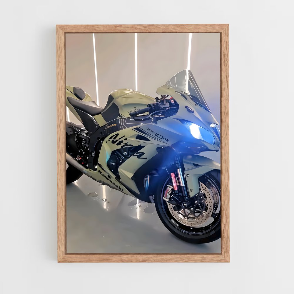 Poster Ninja En Garde (vue 4)